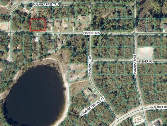 Land for sale in Ocklawaha, Florida