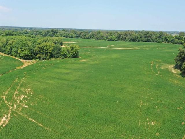 Farm for sale in West Paducah, Kentucky