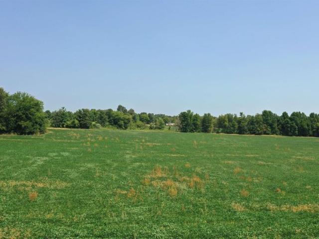 Farm for sale in West Paducah, Kentucky