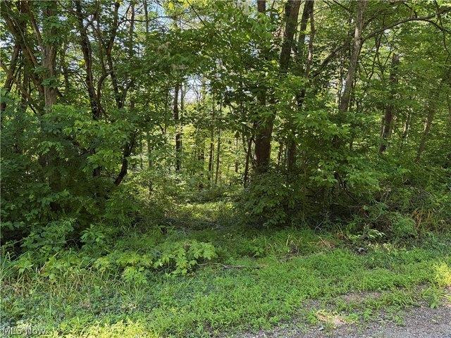 Land for sale in Ohio