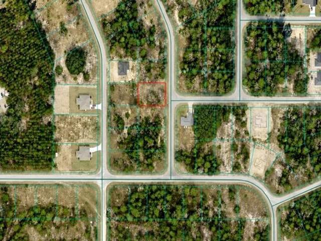 Land for sale in Ocklawaha, Florida