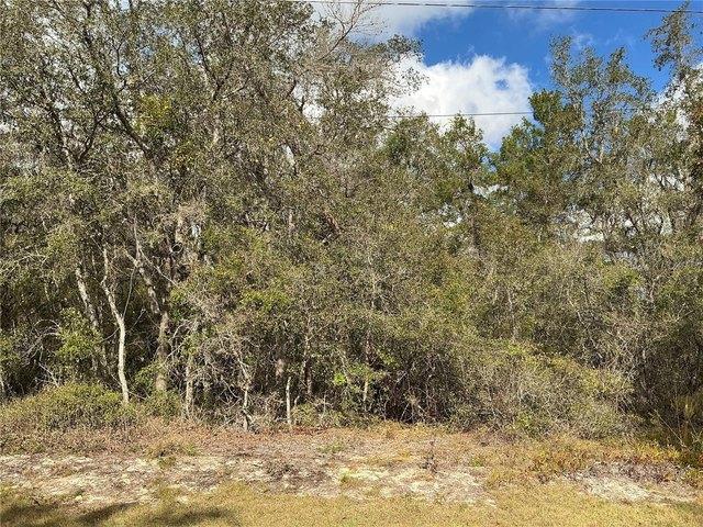 Land for sale in Ocklawaha, Florida