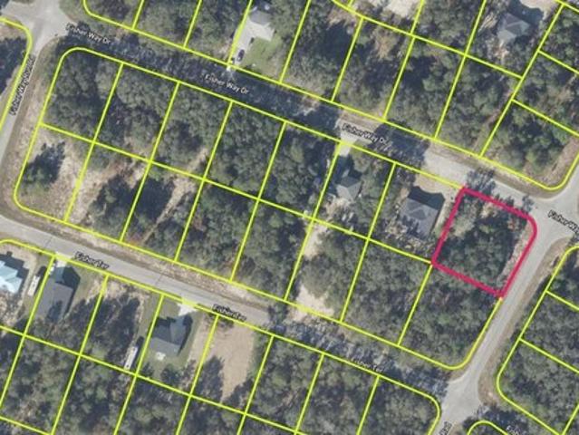 Land for sale in Ocklawaha, Florida