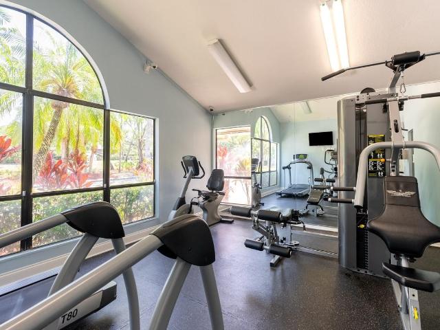 Apartment for rent in Tampa, Florida