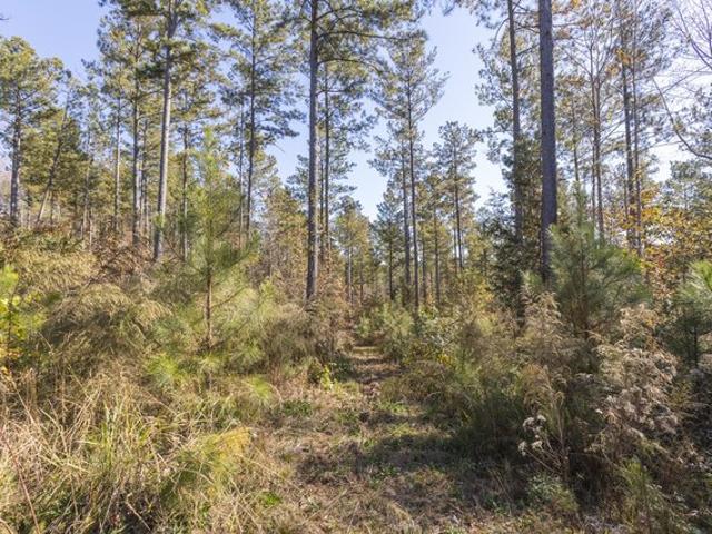 Farm for sale in South Carolina