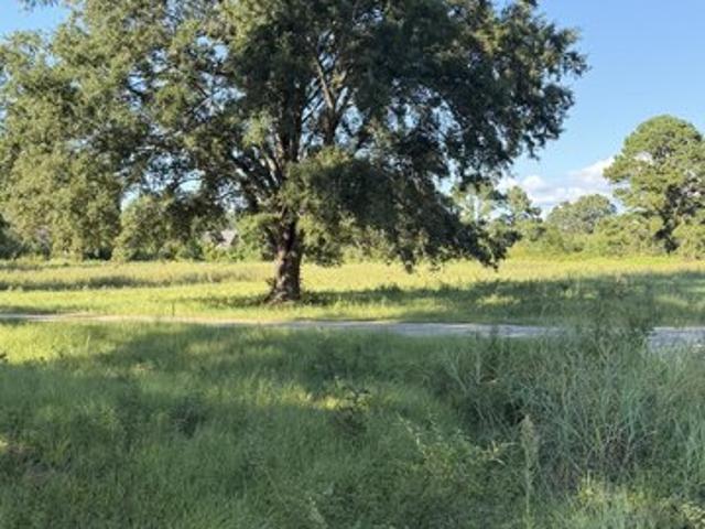 Land for sale in Summerton, South Carolina