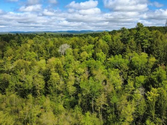 Land for sale in Waldo, Maine