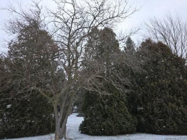 House for sale in Huron, Ohio