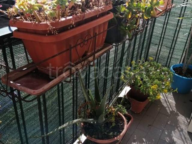 Appartamento in affitto a Centro Storico, Caserta