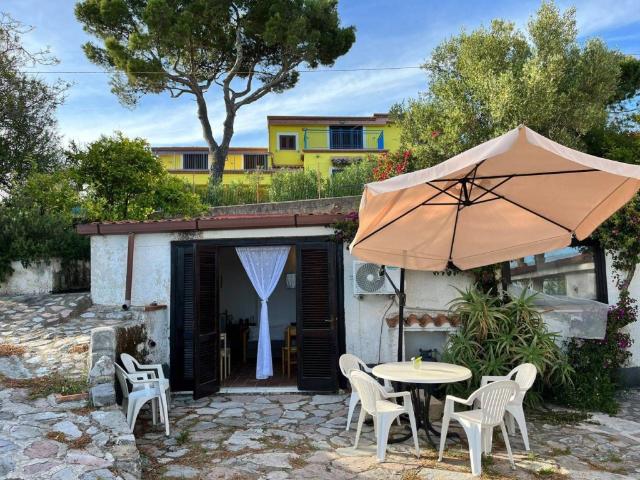 Appartamento in affitto a Centola, Campania