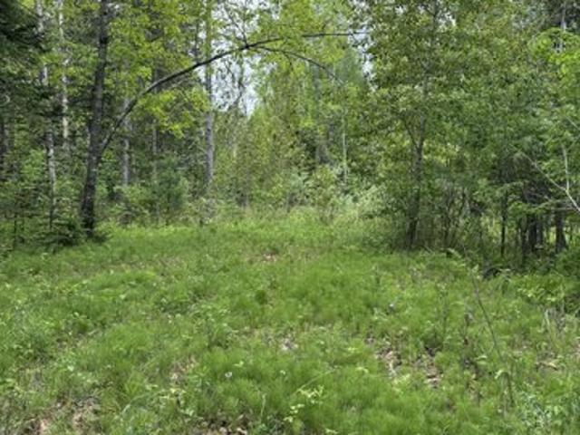 Land for sale in Kenduskeag, Maine