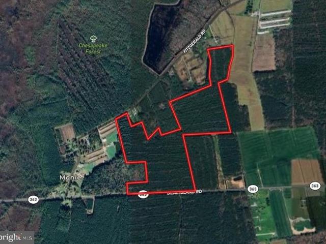 Land for sale in Princess Anne, Maryland