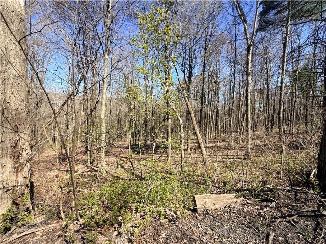 Land for sale in Alpine, New York