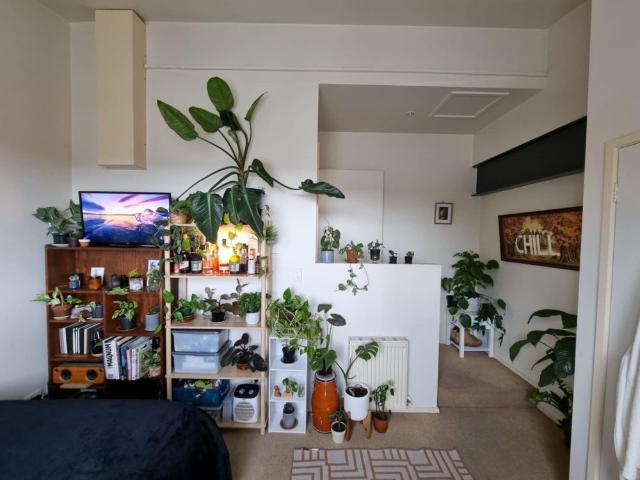 Room for rent in Camerons Creek, Victoria