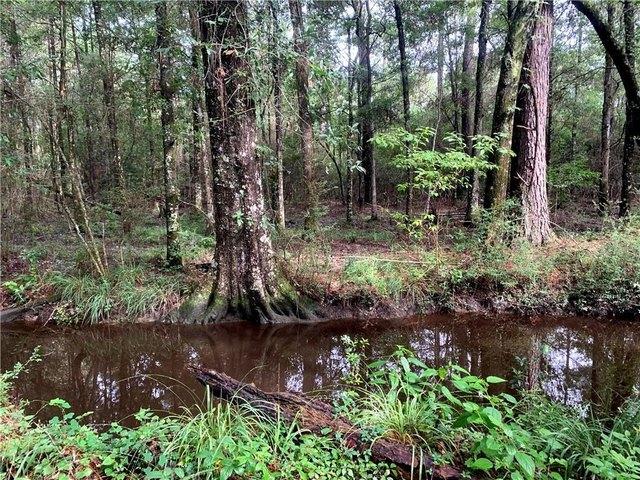 Land for sale in Mandeville, Louisiana
