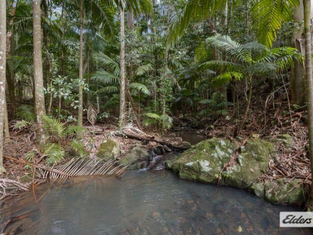 Cottage for sale in Numinbah, New South Wales
