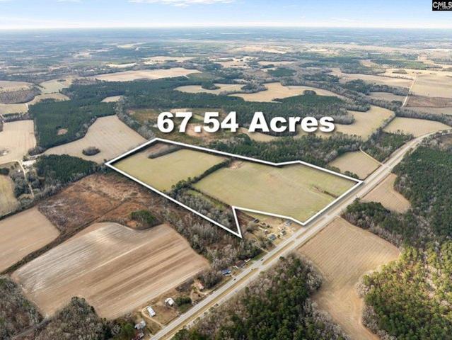 Land for sale in Santee, Orangeburg County
