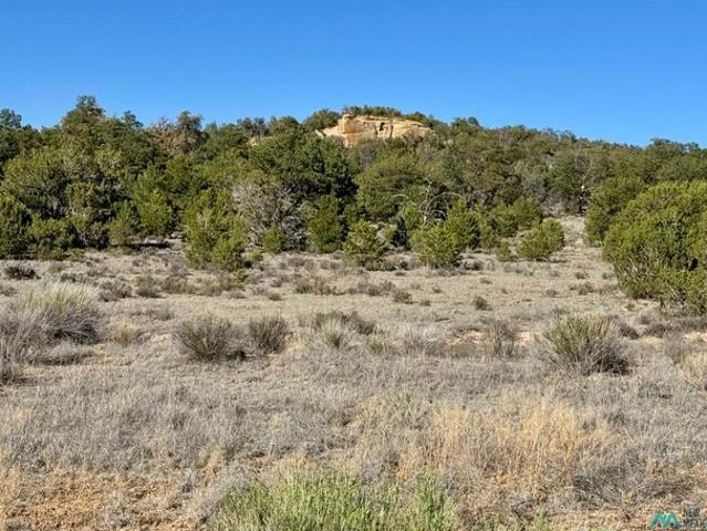 Land for sale in Kansas