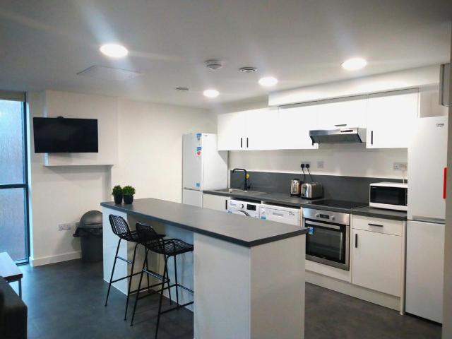 Apartment for rent in Calthorpe Fields, West Midlands