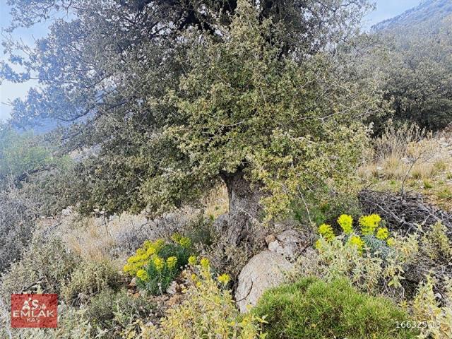 Izne, Kaş içerisinde satılık Arsa