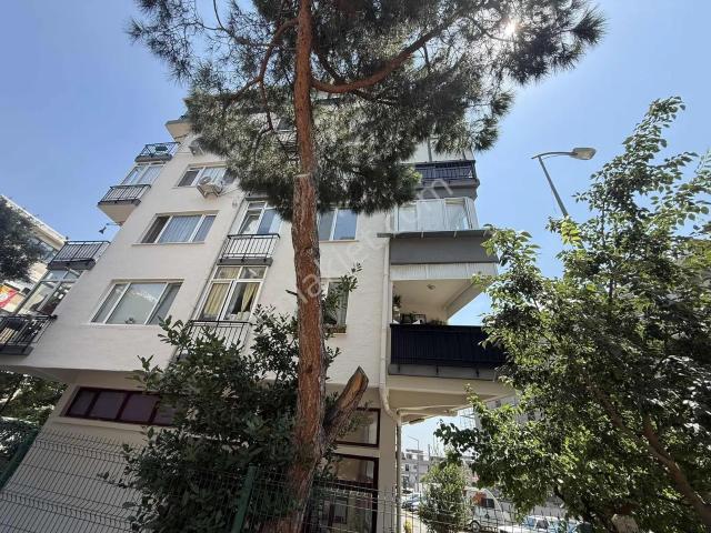 Maltepe, İstanbul içerisinde kiralık mülk