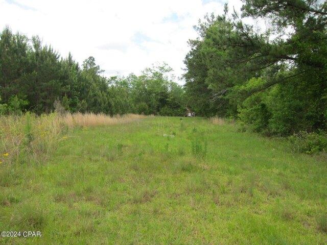 Land for sale in Marianna