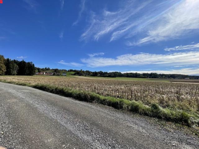 Grundstück kaufen in Hitzendorf, Steiermark