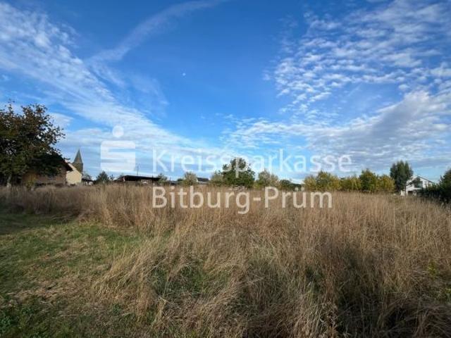 Erdgeschosswohnung kaufen in Wißmannsdorf, Eifelkreis Bitburg-Prüm