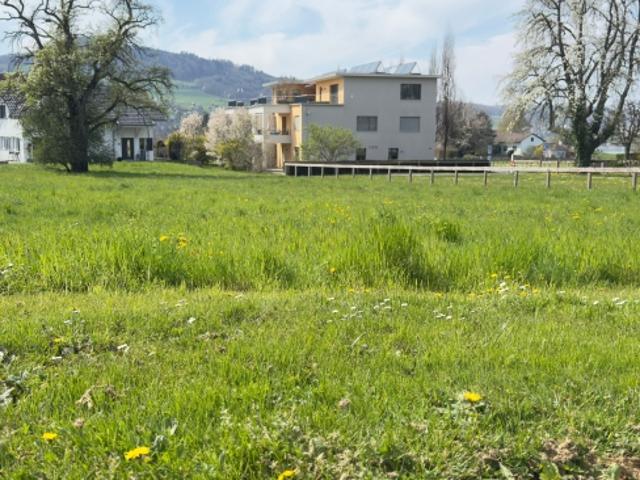Grundstück kaufen in Bettlach, Solothurn