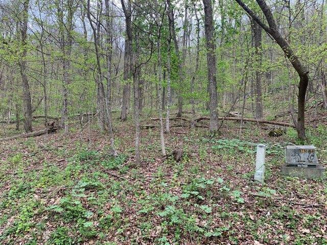 Land for sale in Virginia