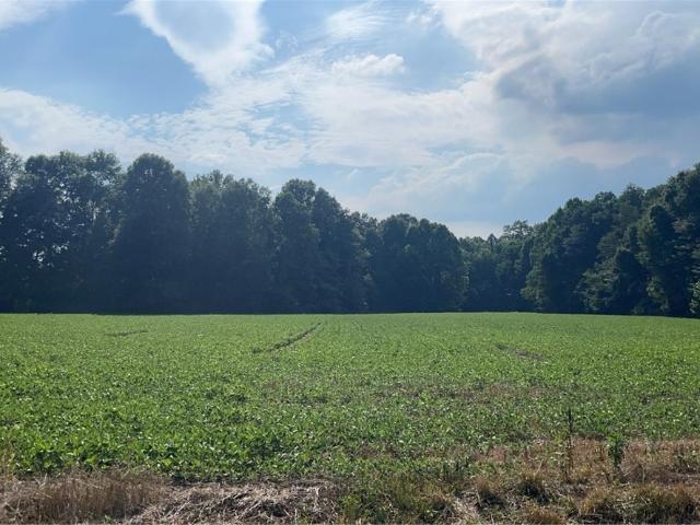 Land for sale in Junction City, Ohio