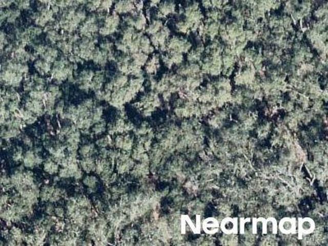 Land for sale in Florida