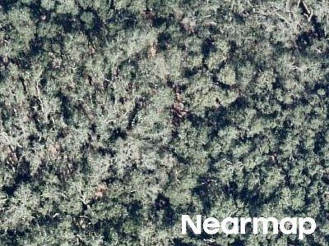 Land for sale in Palatka, Florida