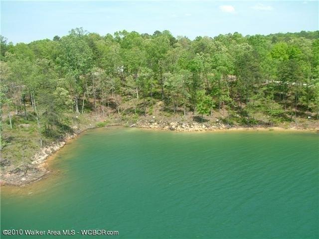 Land for sale in Arley, Alabama