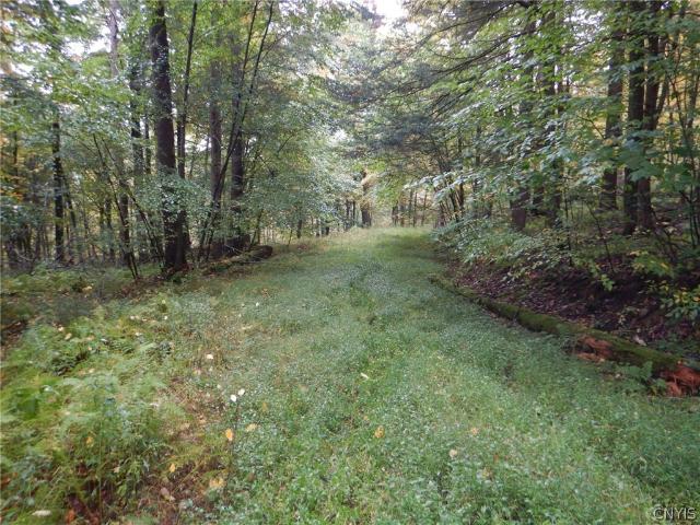 Land for sale in Damascus, Broome County