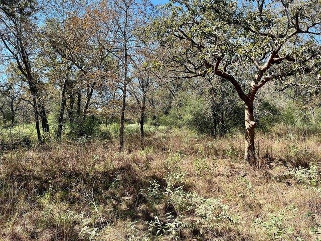 Land for sale in Luling, Caldwell County