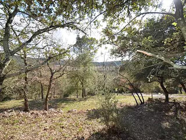 Terrain vente à Brignoles, Flassans-sur-issole
