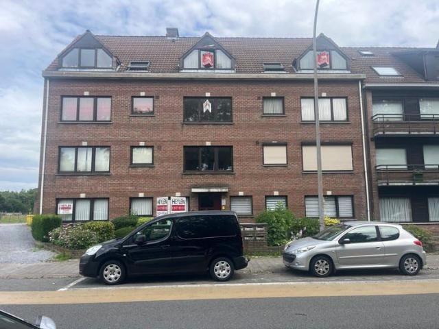 Kot location à Geel, Antwerpen