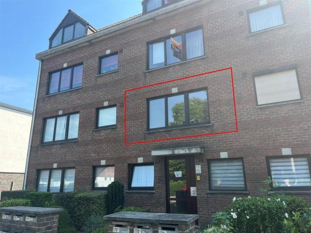 Kot location à Geel