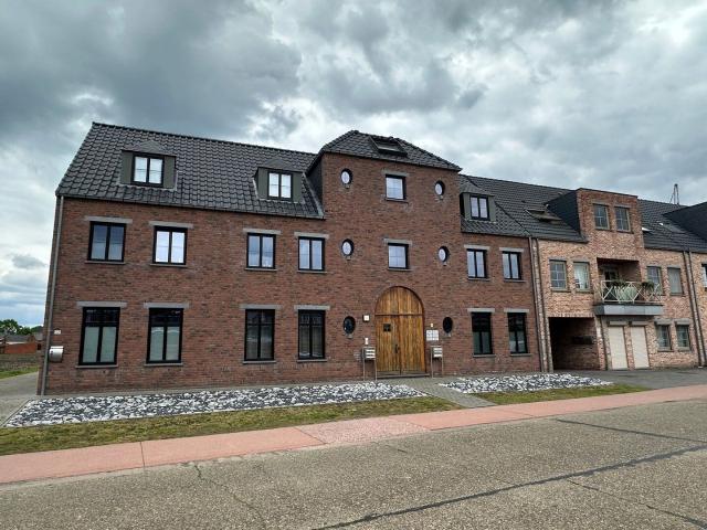 Kot location à Hulshout