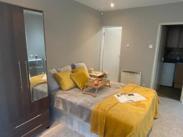 Studio for rent in Spring Park, Luton
