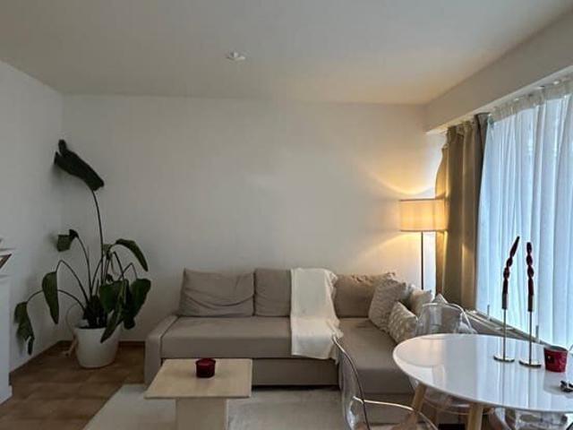 Kot location à Sint-lambrechts-woluwe, Bruxelles