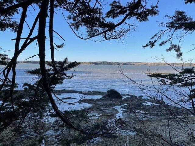 Land for sale in Harrington, Maine
