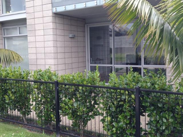 House for rent in Mission Heights, Howick