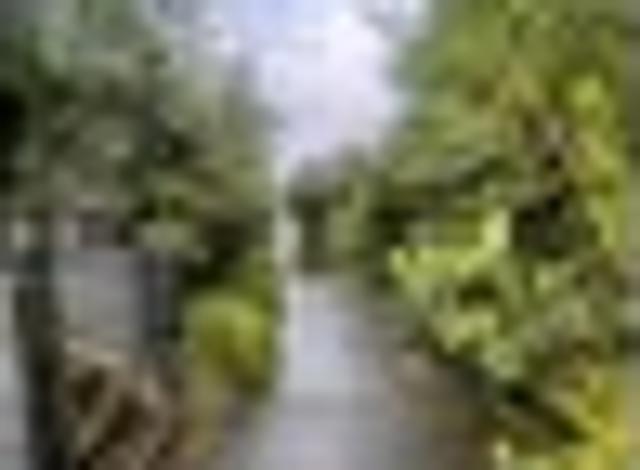 Townhouse for rent in Howick