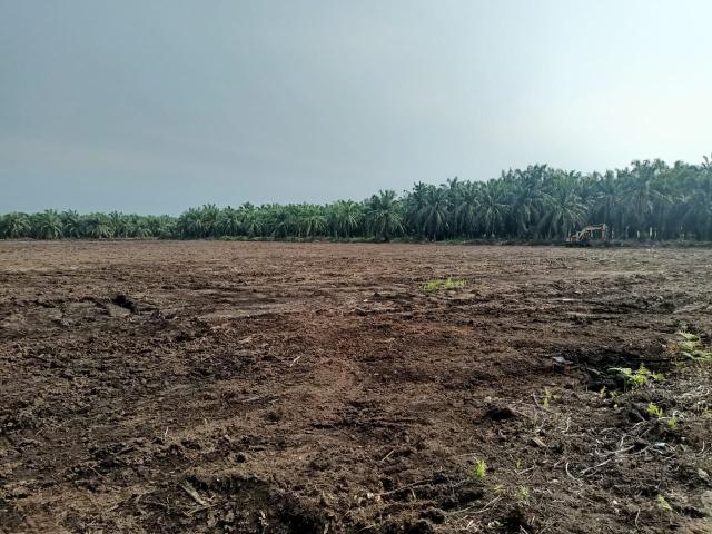 Property for rent in Kuala Selangor, Selangor