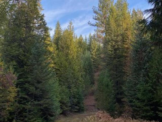 Land for sale in Saint Maries, Idaho