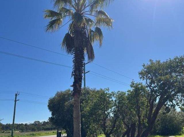 Land for rent in Baldivis, Western Australia