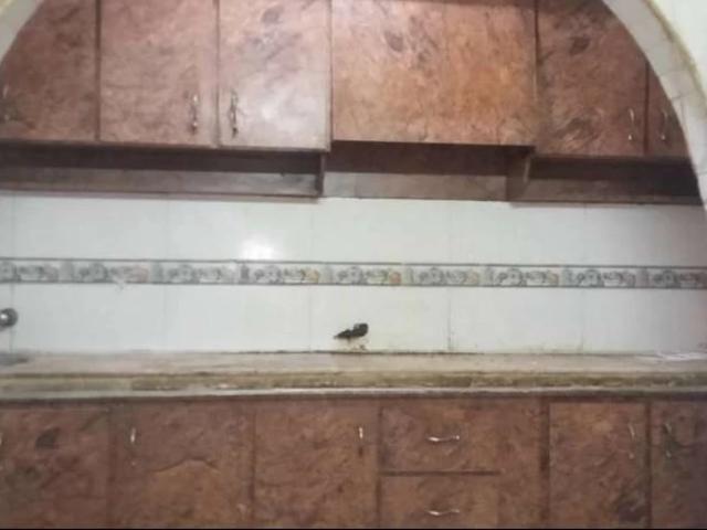 Apartment for rent in Federally Administered Tribal Areas fata