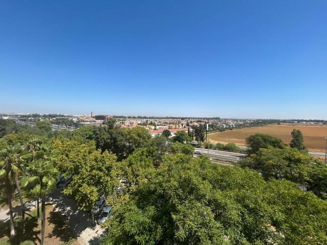 Apartamento en alquiler en Dos Hermanas, Montequinto